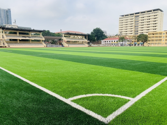 China Artificial Football Grass Synthetic Turf For Soccer Field Floor Artificial Grass supplier