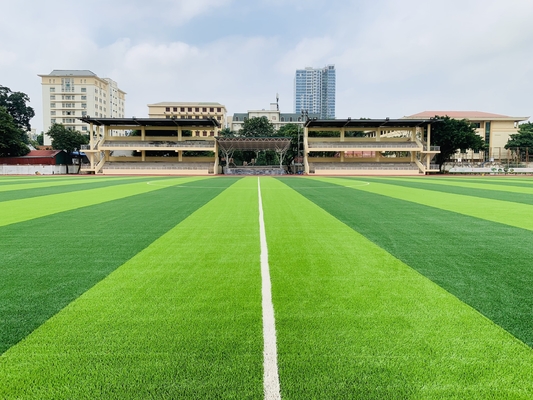 China 55mm Artificial Grass Sports Flooring For Soccer Football Ground supplier