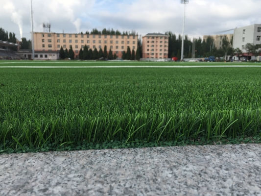 China Woven Backing Soccer Turf Grass Aritificial For Football Field supplier