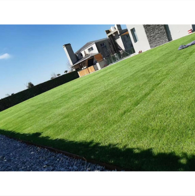 China Anti Colorfading Artificial Grass Turf For Garden Kindergarten Playground supplier