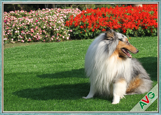 China Anti Bacterial Soft Permeable Fake Green Grass Pet Grass Field Green Color supplier