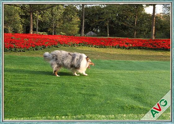 China Residential / Commercial Landscaping Pet Artificial Turf With Monofil PE Curly PPE Materal supplier