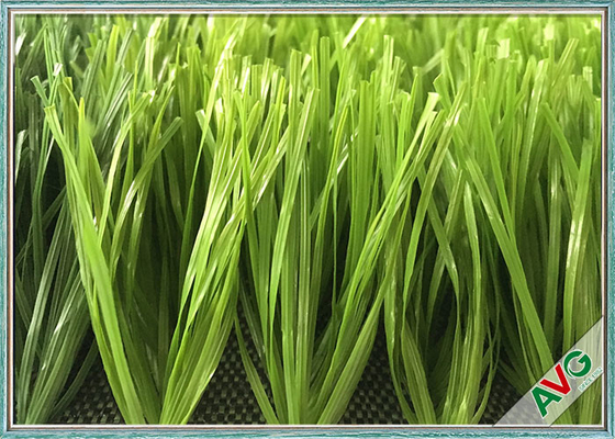 China Stem 2D Shape More Durable Soccer Field Artificial Grass Carpet Lake High School supplier