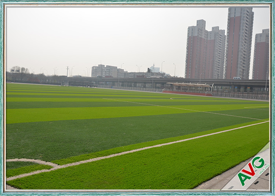 China High Density Indoor / Outdoor Soccer Football Field Artificial Grass Carpet supplier