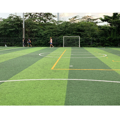 China Sports Carpet Floor Outdoor Football Artificial Turf PP + Leno Backing supplier