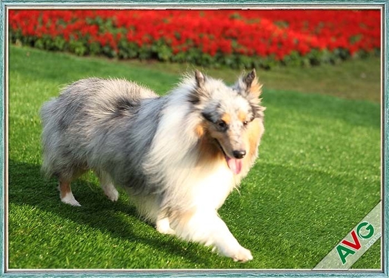 China UV Resistant Dog Pet Artificial Turf / Synthetic Grass Eco Friendly Installation supplier
