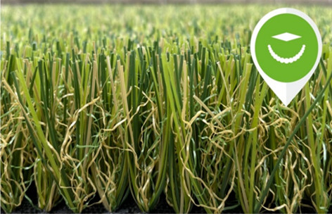 China Factory Directly High Quality More Healthy Landscaping False Turf Monofilament and  Curly Yarn Outdoor Artificial Grass supplier