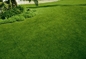 Artificial Grass Garden 35cm Synthetic Grass Yarn For Garden Lawn Artificial Grass supplier