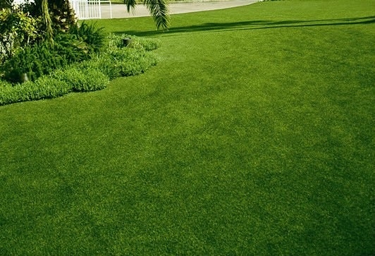 Artificial Grass Garden 35cm Synthetic Grass Yarn For Garden Lawn Artificial Grass supplier