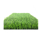Grass Decorative Carpet Plastic Grass Garden For Landscaping Grass 20-50mm supplier