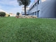 60mm Garden Artificial Grass PP Cloth Plus Reinforced Net Water Retention supplier