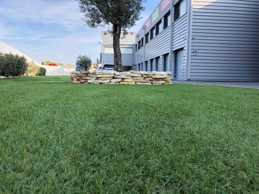 Landscaping Turf 25mm C Shape Artificial Grass For Garden Landscape Grass supplier