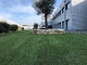 C Type Monofilament Garden Artificial Grass Water Retention And Cooling supplier