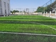 Popular Artificial Football Grass Soccer Turf Carpet 50mm For Oudoor supplier