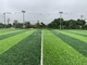 FIFA Turf Football Grass 40mm Football Turf Artificial Grass Soccer supplier