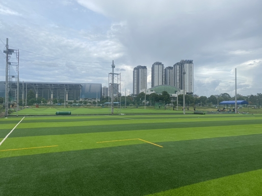 55mm Diamond Shape Football Artificial Turf Fake Soccer Grass supplier