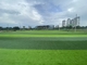 60mm Football Ground Artificial Grass Carpet Environment Friendly supplier