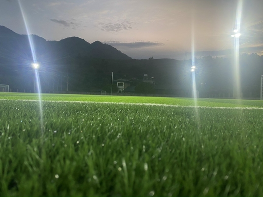 55mm Height Artificial Grass Turf Football Synthetic Grass Wear Resistant supplier