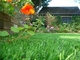 Green Recyclable Garden Artificial Grass For Decoration , Home Artificial Turf supplier