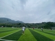 Multi Functional Football Artificial Turf For Garden Park Leisure Sites supplier