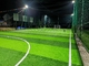 SGS Diamond 66 Sports Football Artificial Turf 50m Height supplier