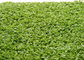 Monofil PE Yarn Hockey Decorative Fake Grass Carpet 220 s/m Stitch 6600 Dtex supplier