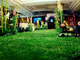 Professional Physical Indoor Synthetic Grass , Indoor Fake Grass Carpet supplier