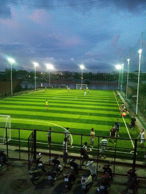 Football Grass 50mm Carpet Grass Artificial Grass Football Soccer Carpet supplier