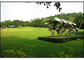 Durable Landscaping Natural Looking Artificial Grass , Landscaping Artificial Turf supplier