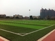 Green Football Playground Synthetic Grass , Playground Fake Grass For Outside supplier