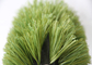 High Density Soccer Artificial Grass , Sports Artificial Turf 8200 Dtex supplier