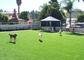 Modern Background Home Pet Artificial Turf , Green Synthetic Grass For Pets Playing supplier