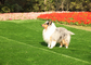 Waterproof Landscape Garden Pet Artificial Turf Fake Grass Carpet Long Lifespan supplier