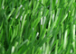 Free Metal Landscaping Artificial Grass Mats Anti-UV Environment Friendly supplier