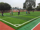Durable False Turf Playground Soccer Synthetic Grass Environment Friendly supplier