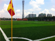 Professional Playground Synthetic Grass , Playground Synthetic Turf FIFA Standard supplier