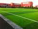 Field / Olive Green Playground Artificial Turf False Grass Lawns Anti-UV supplier