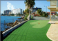 Lawn Yard Display Custom Golf Artificial Grass Fake Turf Environment Friendly supplier