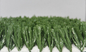 Pile Height 50MM Football Artificial Turf False Grass Lawns Latex Coating supplier