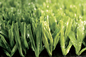 AVG High Grade Green Football Artificial Turf , Football Synthetic Grass Carpet supplier