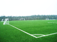 Landscaping Football Field Artificial Turf Fake Grass SGF ISO9001 Certification supplier