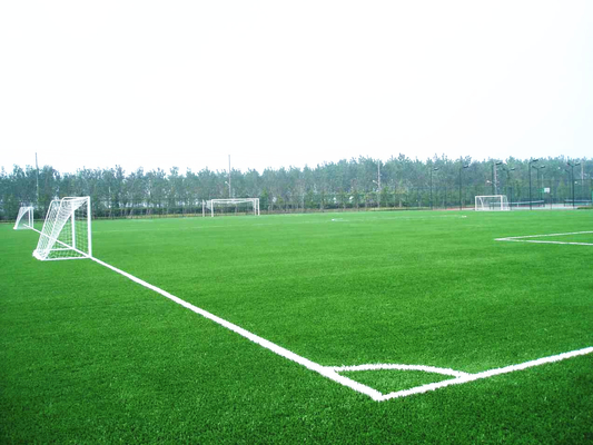 Landscaping Football Field Artificial Turf Fake Grass SGF ISO9001 Certification supplier