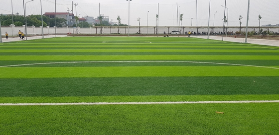 70mm Grass Carpets Synthetic Grass Artificial Grass For Football Field supplier