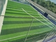 AVG Turf 50mm Football Artificial Grass lawn For Soccer Fields supplier