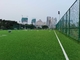AVG 60mm Soccer Football Artificial Turf Grass Futsal Gazon Synthetique Price For Wholesale supplier