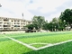 65mm Cesped Artificial Grass Football Turf Synthet Turf Soccer Synthetic Carpet Grass supplier
