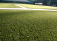 Curly Sport Flooring Hockey Coloured Artificial Turf Fake Carpet Grass supplier