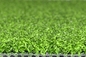 Golf Turf Carpet Artificial Grass 13mm For Multi Use Artificial Grass Golf Grass supplier