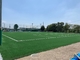 FIFA Grass Soccer Turf Synthetic Turf For Football 50mm Pile Height supplier