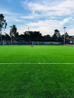 Artificial Grass Baseball Turf Football Grass For Soccer Ground supplier